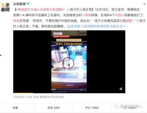 外国最新爆料网站大全视频,视频内容一网打尽  第1张